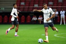 雄狮的对决 雄狮的对决